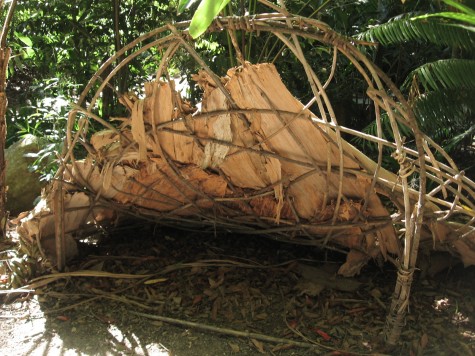 reconstitution d'un abri aborigène utilisé dans la rainforest/ reconstruction of an aboriginal shelter used in the rainforest